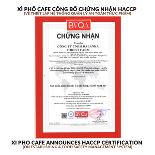 Cà phê Blend Robusta + Arabica XÌ PHỐ CAFE pha phin, pha máy, rang mộc, đậm vị, cà phê đặc sản