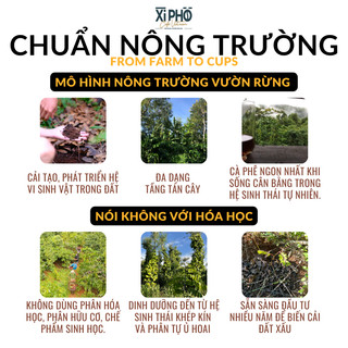 Cà phê Blend Robusta + Arabica XÌ PHỐ CAFE pha phin, pha máy, rang mộc, đậm vị, cà phê đặc sản