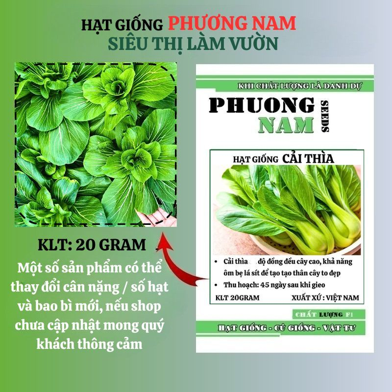 20 Gram - Hạt Giống Cải Thìa Phương Nam