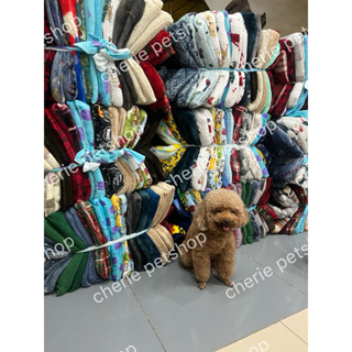 Thảm Điều Hoà Cho Chó Mèo, Nệm Giữ Ấm Cho Chó Mèo Mùa Đông Size 40x45cm