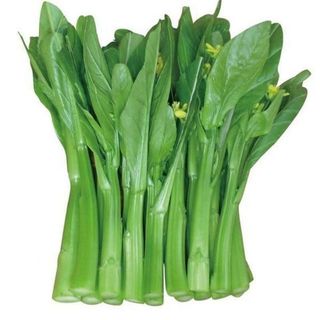 Hạt Giống Cải Ngọt Bông (Cải Ngồng) Thu Hoạch Sớm Gói 20 Gam (khoảng 6000 hạt)