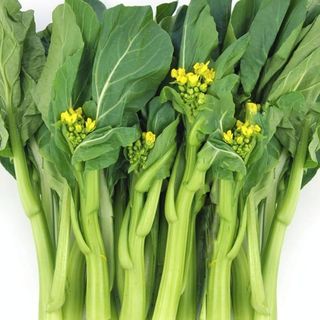 Hạt Giống Cải Ngọt Bông (Cải Ngồng) Thu Hoạch Sớm Gói 20 Gam (khoảng 6000 hạt)