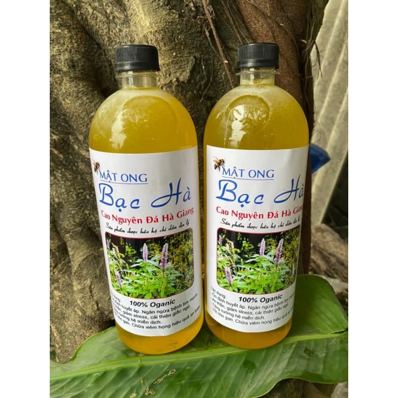 MẬT ONG BẠC HÀ NÚI ĐÁ HÀ GIANG