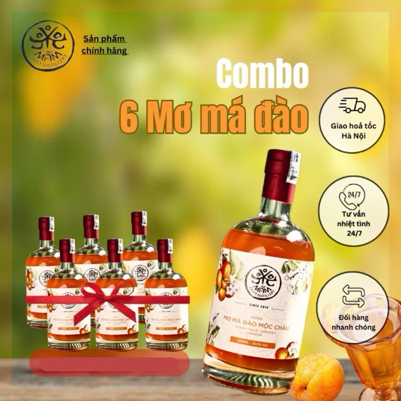 [Tặng 150K] Combo 6 Mơ Mộc Châu