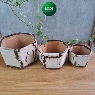 Chậu trồng cây sứ Bát Tràng hình lục lăng, chậu sen đá xương rồng xinh xắn | Living Decor