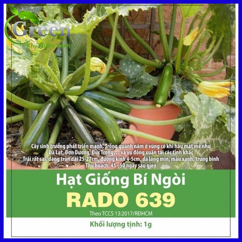 Hạt Giống Bí Ngòi Xanh Trái Dài Dễ Trồng, Chăm Sóc