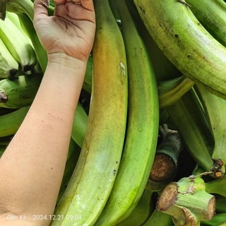 1KÝ CHUỐI TÁ QUẠ SỐNG