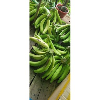 1KÝ CHUỐI TÁ QUẠ SỐNG
