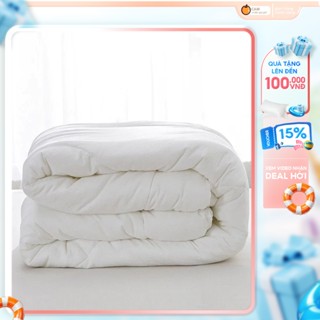 Ruột chăn 2m x 2m2, ruột chăn hè và  ruột chăn bông mùa đông, mềm mịn thoải mái - CAM CHĂN GA GỐI