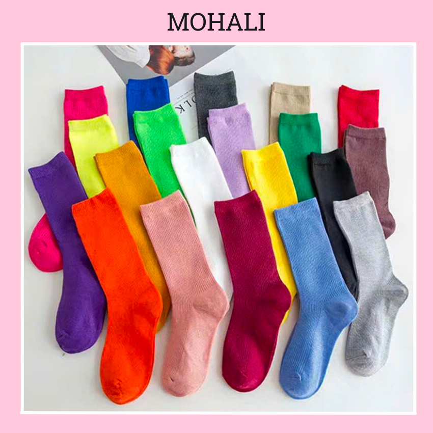 [LOẠI 1] Tất vớ cổ cao trơn DÀY DẶN chun nhiều màu chất cotton mịn kháng khuẩn thấm hút mồ hôi tốt MOHALISOCKS VC109