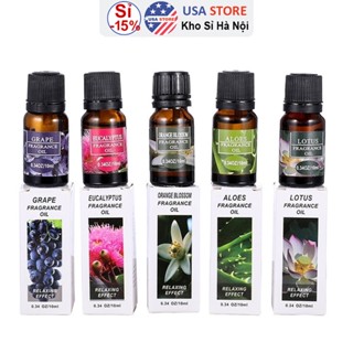 Lọ Tinh Dầu Tự Nhiên Giúp Khử Mùi – Tạo Không Gian Thư Thái - Dùng Cho Máy Xông Tinh Dầu - Dung Tích 10Ml - Chọn 11 Mùi