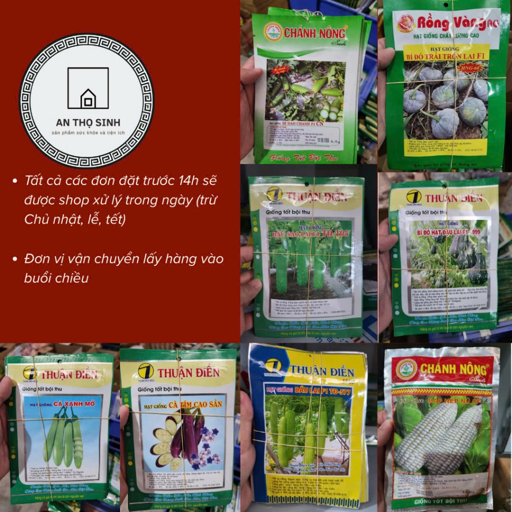 🌱 [Combo Hạt Giống Rau Quả Các Loại] - Thuận Điền, Rồng Vàng - Nảy Mầm Cực Chuẩn, Dễ Trồng 🌱