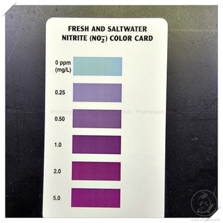 API Nitrite Test Kit – Bộ test NO₂ chính xác cho hồ cá thủy sinh và nước mặn