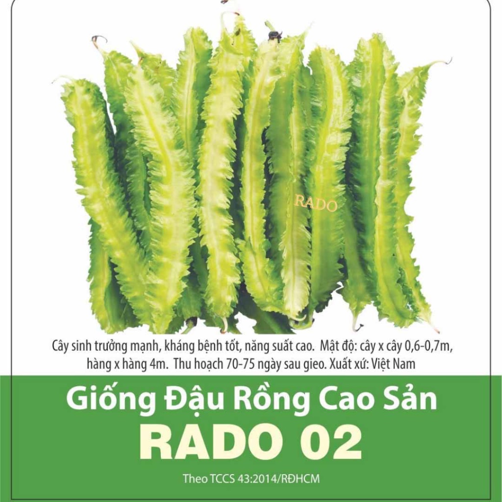 Hạt giống Đậu Rồng Siêu Trái RADO cao cấp, giàu dinh dưỡng, trái giòn ngọt