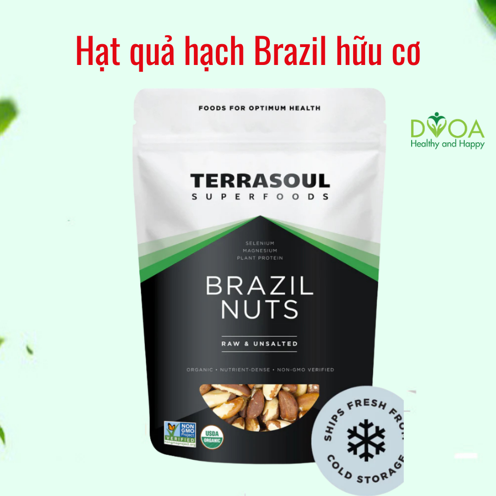 HẠT QUẢ HẠCH BRAZIL NUTS Hữu cơ Terrasoul 454g