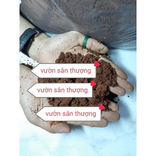 Đất Đỏ 1kg Nền Căn Bản Để Phối Trộn