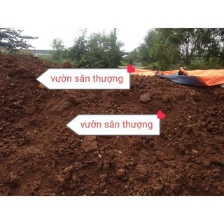 Đất Đỏ 1kg Nền Căn Bản Để Phối Trộn