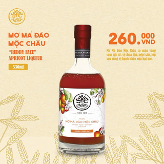 [Tặng Voucher 30K] Combo 2 chai Rượu Mơ Mộc Châu