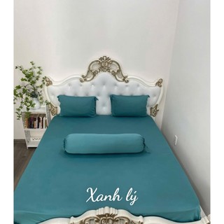 Bộ Drap gối Thun Hàn Quốc Mát Lạnh {4 MÓN} Cực Hot