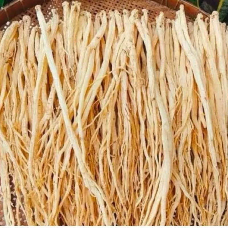 đẳng sâm 500g - 1kg