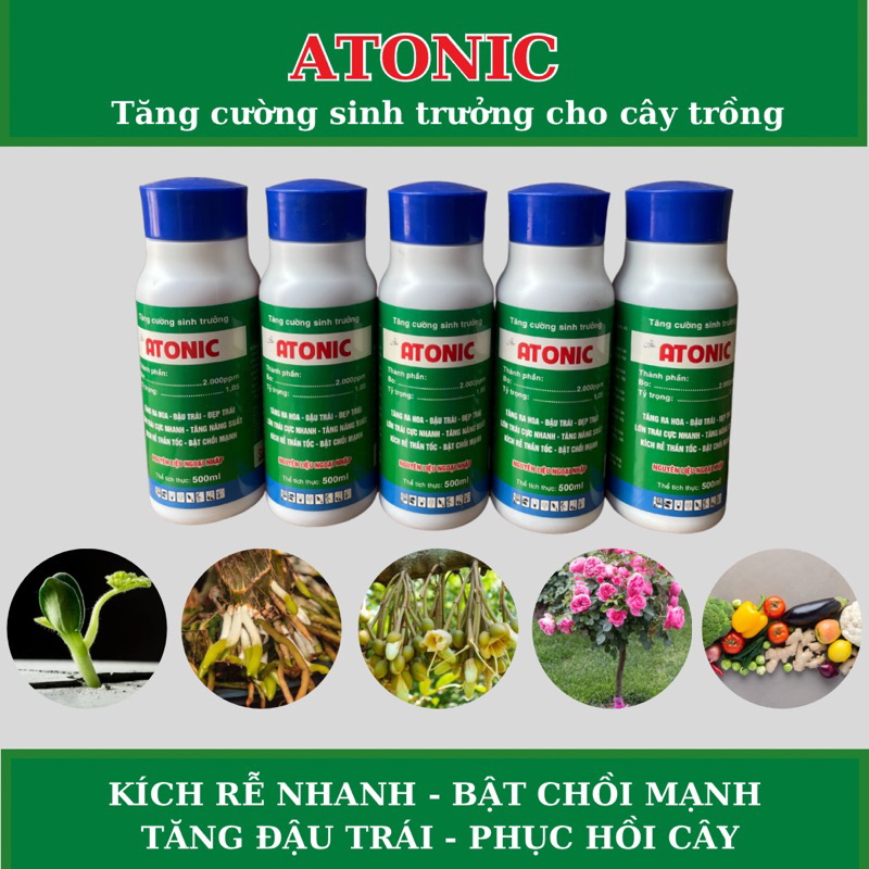 5 CHAI ATONIC 500ml - Kích rễ, bật chồi, vọt đọt