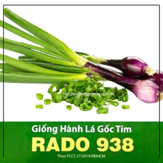 Hạt giống Hành Lá Gốc Tím RADO cao cấp dành cho gia đình, dễ chăm sóc, mau thu hoạch