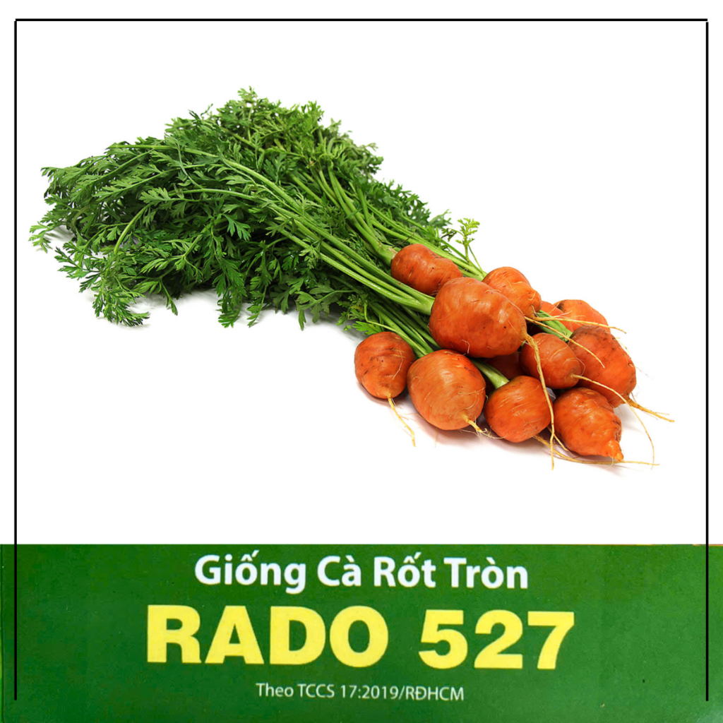 Hạt giống Cà Rốt Tròn F1 RADO cao cấp dành cho gia đình, dễ trồng, củ ngon ngọt