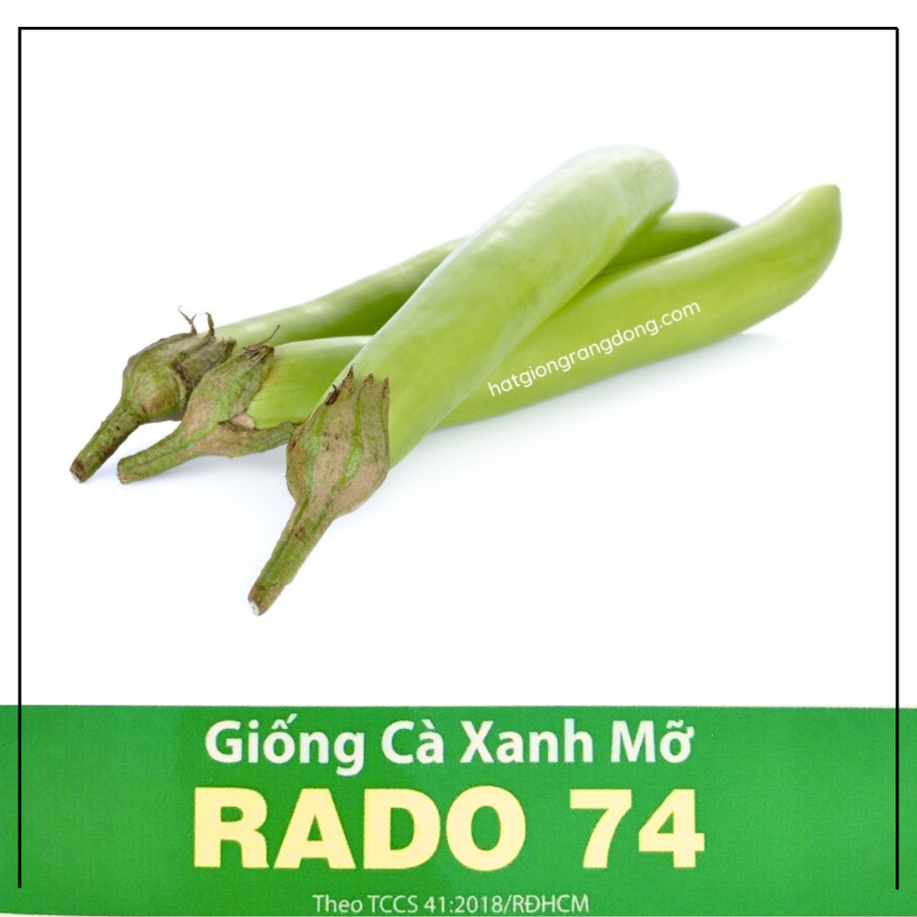 Hạt giống Cà Xanh Mỡ RADO cao cấp dành cho gia đình, năng suất cao, mau thu hoạch