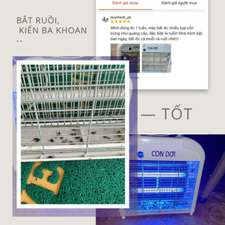 Đèn diệt côn trùng Con Dơi model CN03-12W