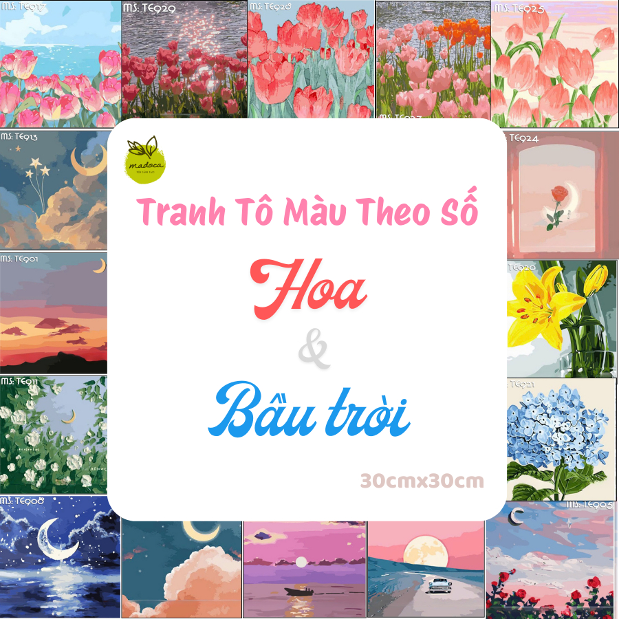 [HOA VÀ BẦU TRỜI] Tranh tô màu theo số, tranh số hóa 30x30 Có Khung