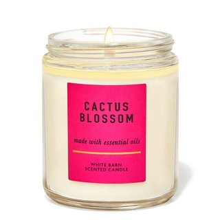[NHIỀU MÙI] Nến thơm 1 tim Bath & Body Works, 198g