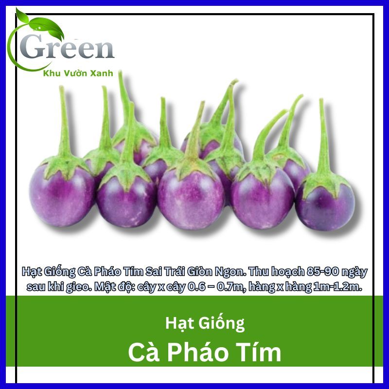 Hạt Giống Cà Pháo Tím Sai Trái Giòn Ngon