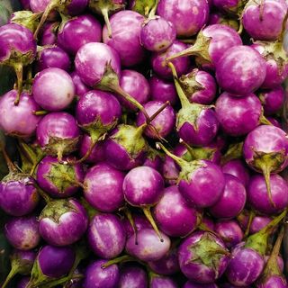 Hạt Giống Cà Pháo Tím Sai Trái Giòn Ngon