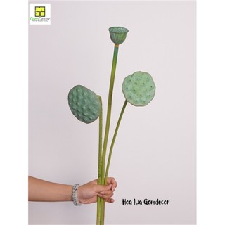 Hoa sen hoa lụa hoa sen giả