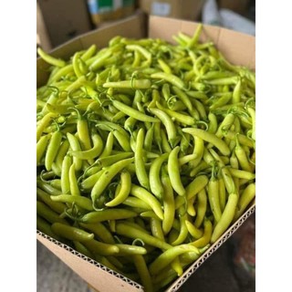 ( Rẻ Vô Địch ) 1kg ỚT SỪNG XANH (ĐẶC SẢN HUẾ ) rất cay thơm