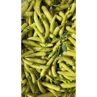 1kg ỚT SỪNG XANH (ĐẶC SẢN HUẾ ) rất cay thơm