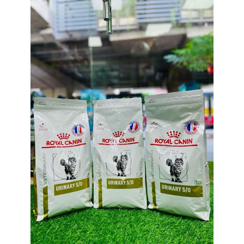 Thức ăn mèo bệnh sỏi thận Urinary Royal canin