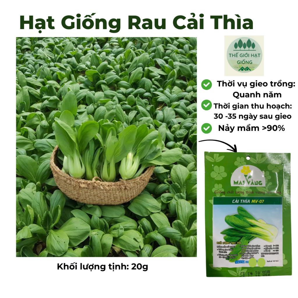 [Gói 20g] Hạt giống rau cải thìa