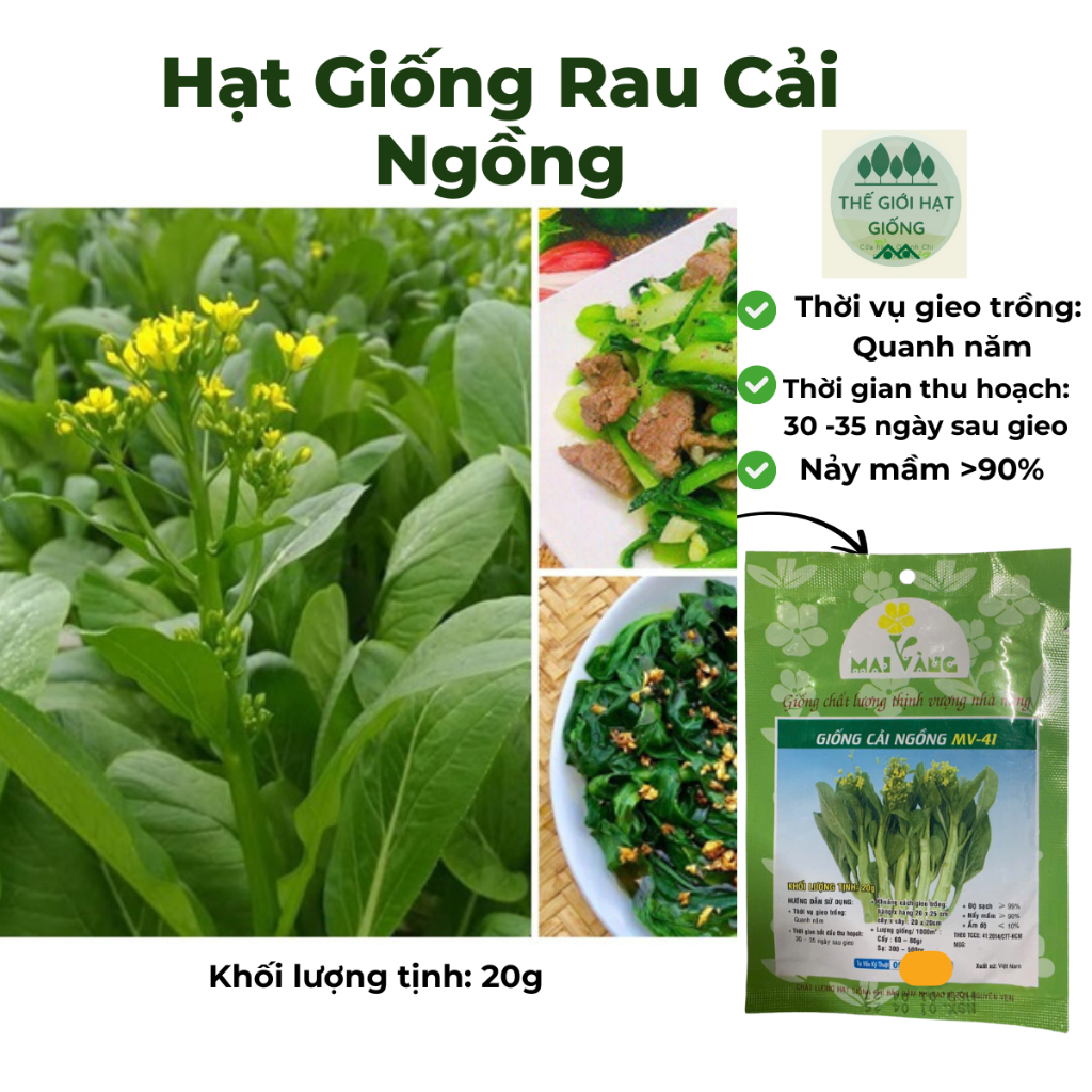 [Gói 20g] Hạt giống rau cải ngồng