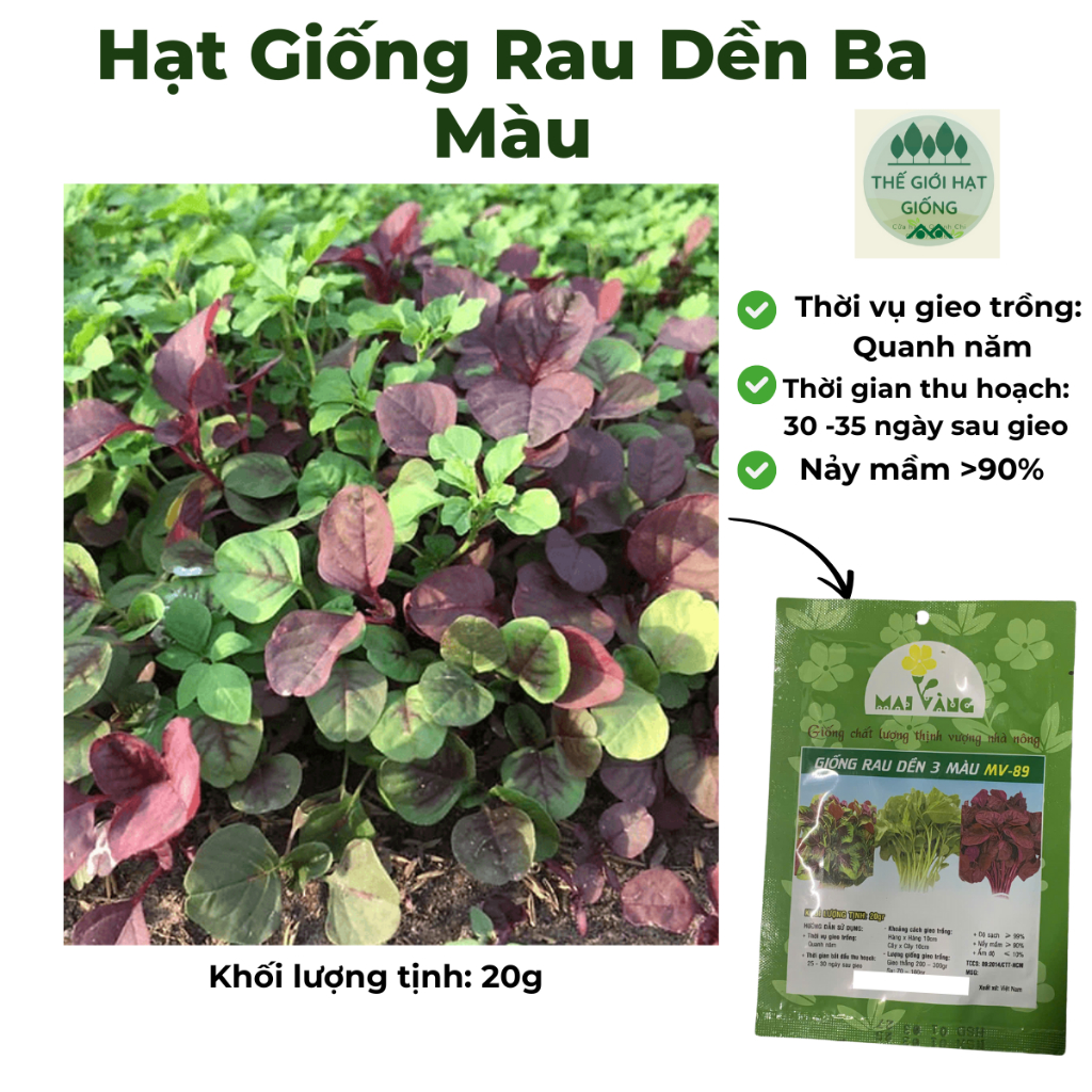 [gói 20g] Hạt giống Rau dền mix 3 màu