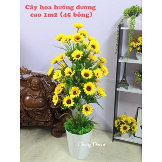  Cây hoa hướng dương giả cao 1m2 kèm chậu nhựa decor trang trí nhà cửa 