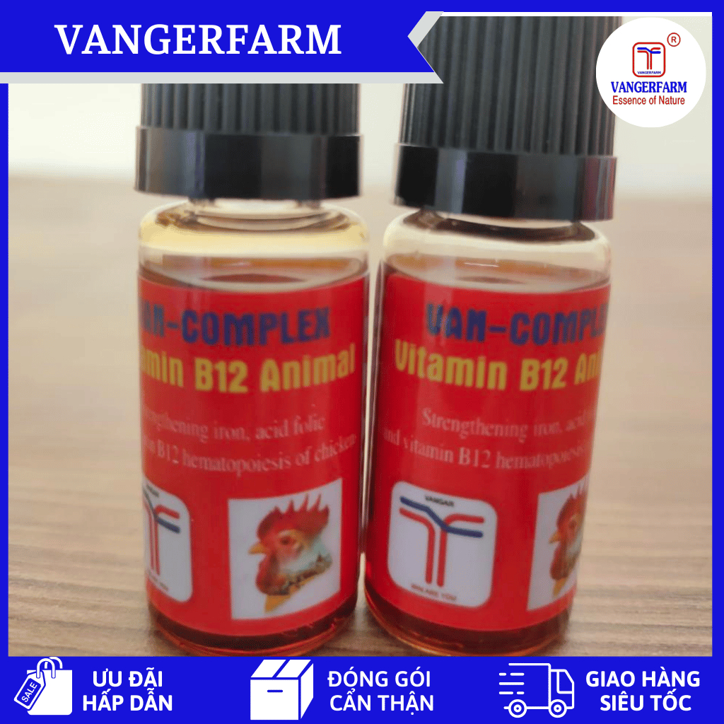 Vitamin B12 Cho Gà Giúp Bổ Máu, Tăng Bo, Sung Căng, Lực Khoẻ, Mặt Đỏ