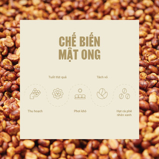 [NEW] Phin Nhẹ L'amant Café - Cà Phê Rang Xay Nguyên Chất Túi 500g