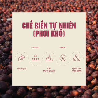 [NEW] Phin Nhẹ L'amant Café - Cà Phê Rang Xay Nguyên Chất Túi 500g