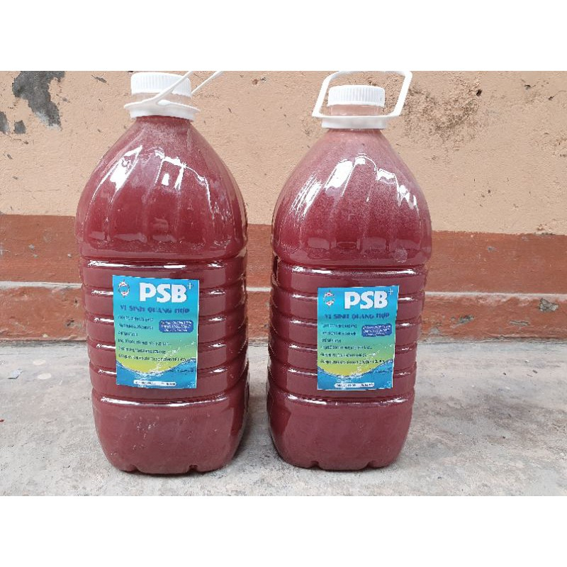 Vi sinh bể cá (5 lít) Men vi sinh PSB+
