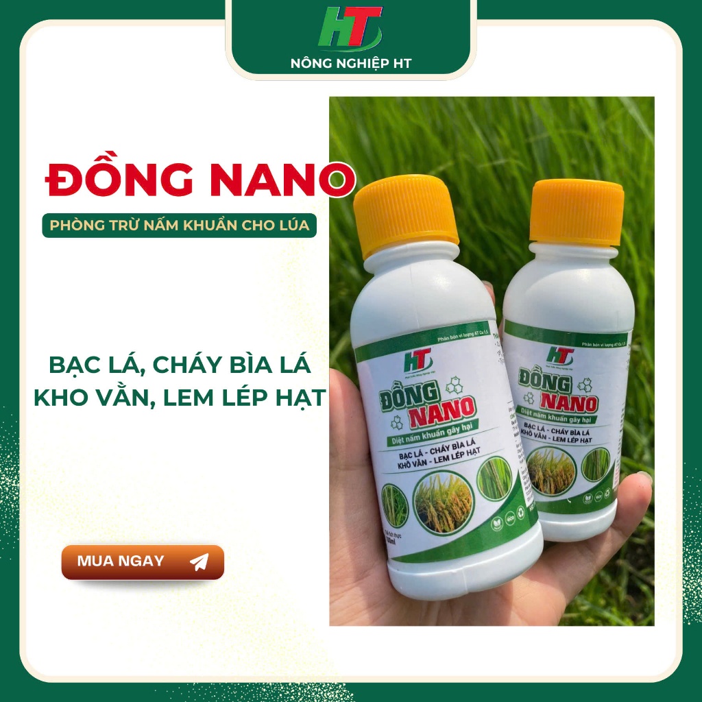 ĐỒNG NANO LÚA HT - Bạc lá, cháy bìa lá, lem lép hạt, vàng lá chín sớm,...