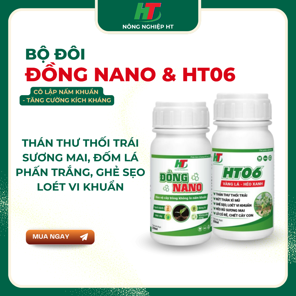 ĐỒNG NANO VÀ HT06 - Chuyên thán thư, sương mai, héo xanh, phấn trắng, gỉ sắt, đốm lá, đốm quả,...