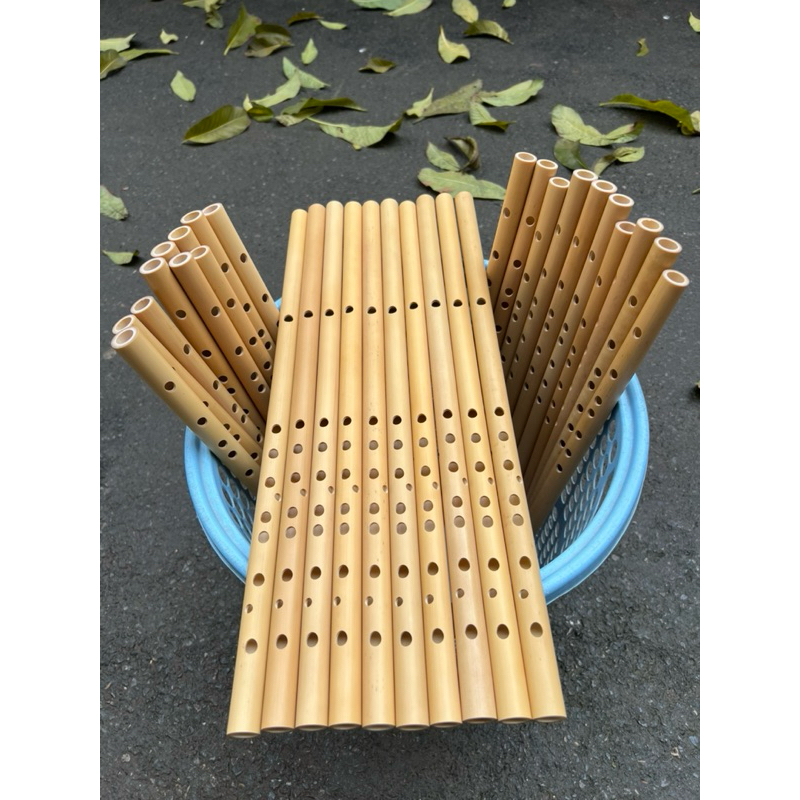 sáo đô 10 lỗ (C5)