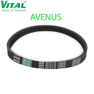 Dây curoa Avenus, Epicuro - Day curoa VITAL chính hãng Thái Lan chất lượng cao