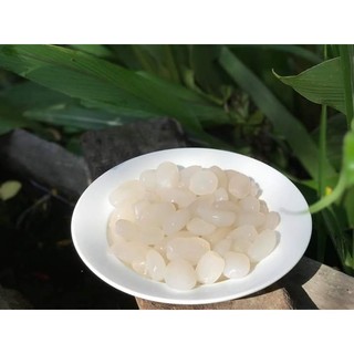 Hạt (Hột) Đác Tươi (Dẻo, Không Cứng)